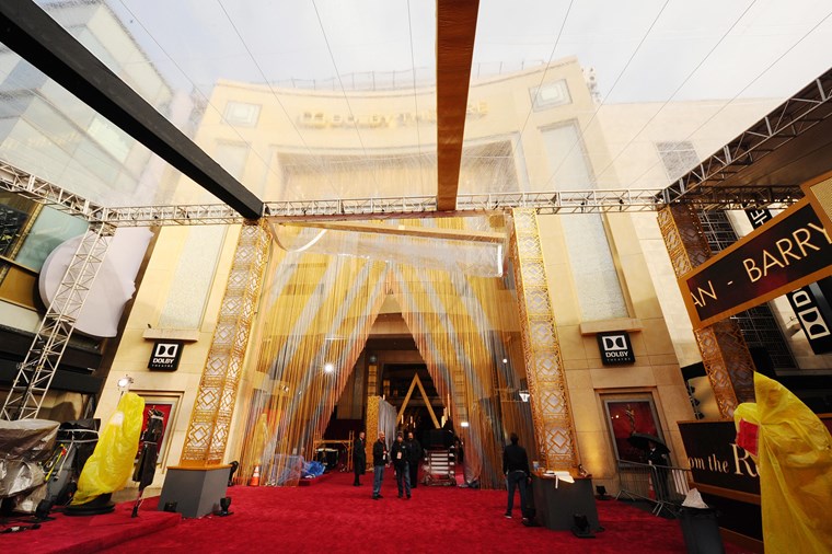 Разходка по червения килим на Оскарите