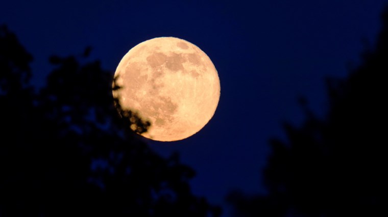 Какво ще ни донесе Ягодовата луна в началото на юни?