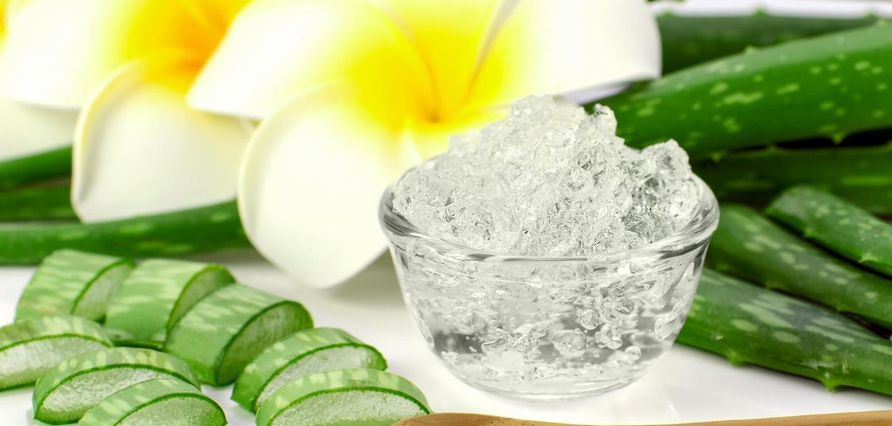 Няколко причини да заложите на козметика с алое вера