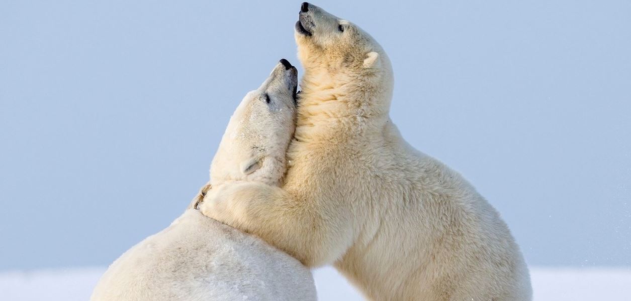14 очарователни кадъра за Международния ден на прегръдката