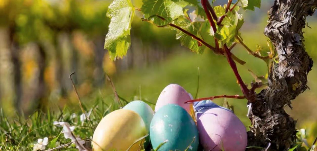 Семеен Великден сред лозята на Chateau Copsa