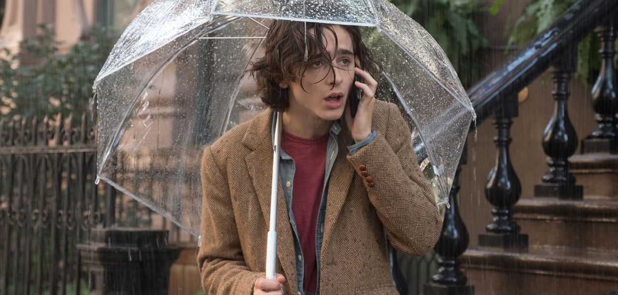 Тимъти Шаламе, като излязъл от роман