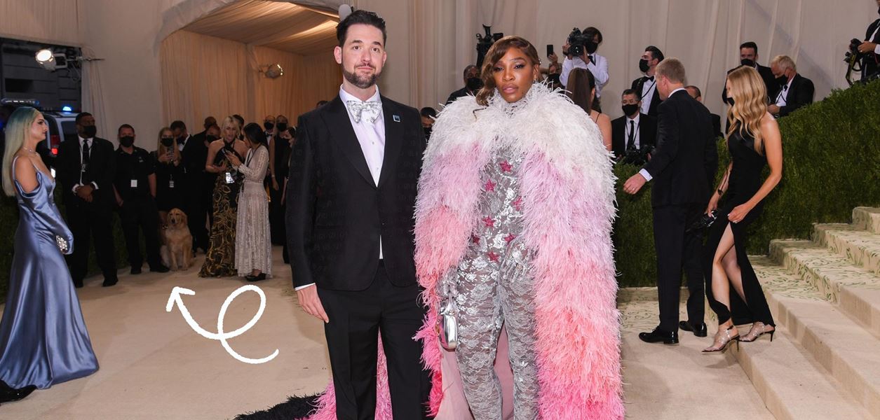 Кое е мистериозното куче от червения килим на Met Gala?