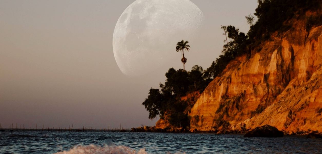 Заличете фалшивите приятелства и токсичните връзки на Пълнолунието днес