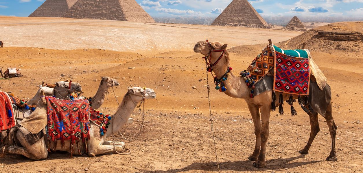 GRAZIA Travel гайд: Египет на въпросите
