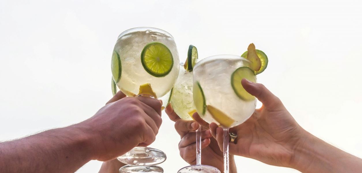 Любимите ни пет коктейла с джин