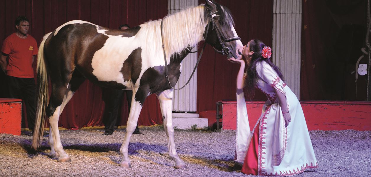 Лукреция Малеволти, повелителката на конете