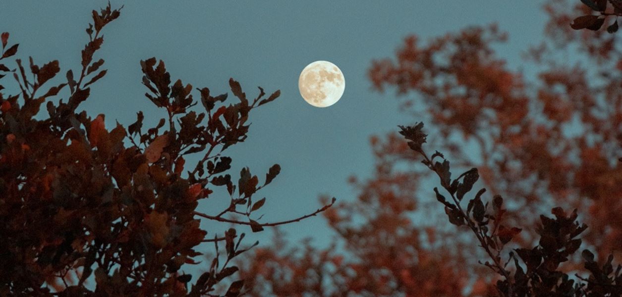 Пълнолунието в Овен е момент за равносметка