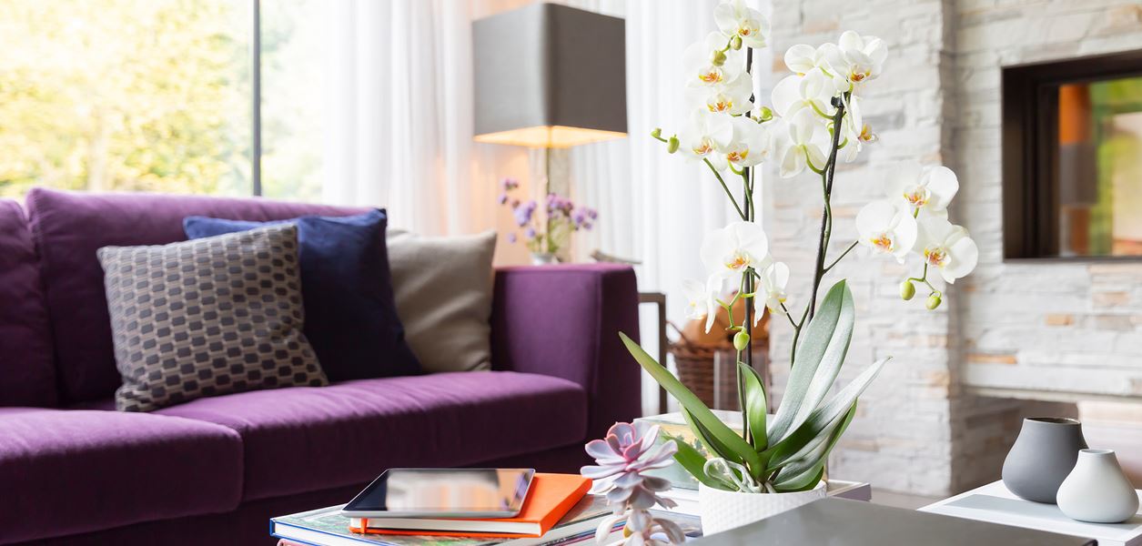 Идеи за красива холна маса