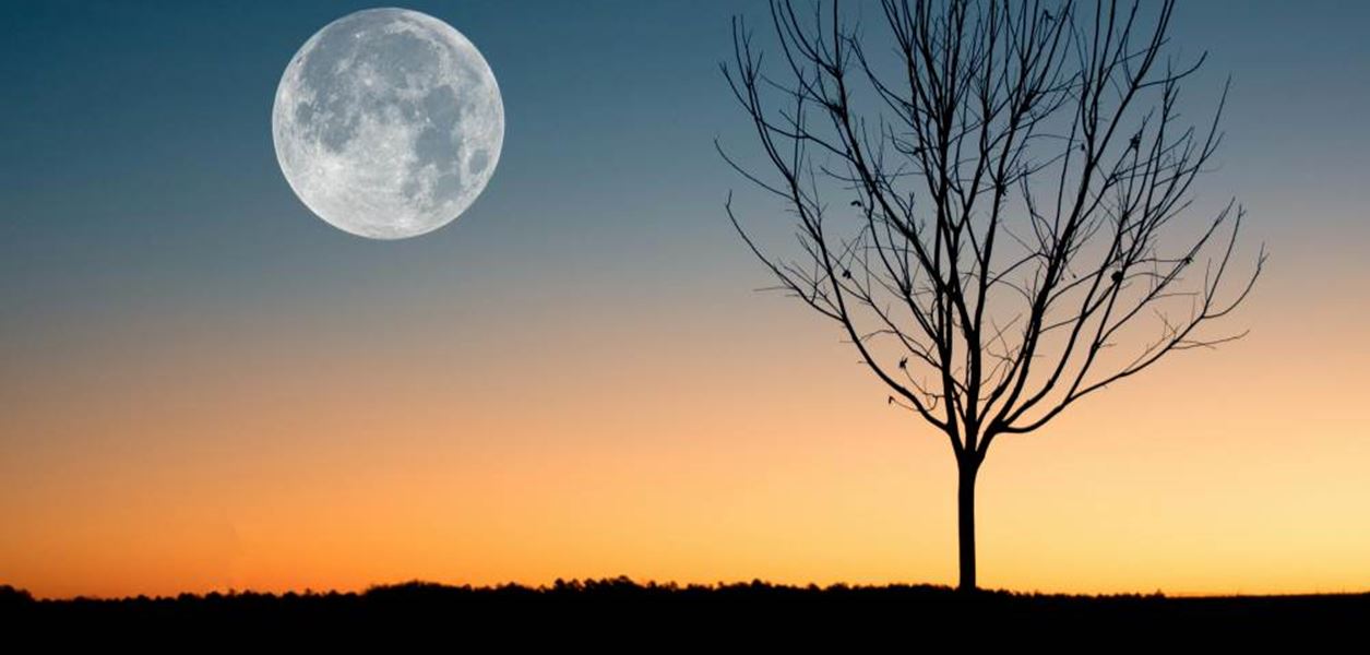 Пълнолунието в Овен е ден за ново начало