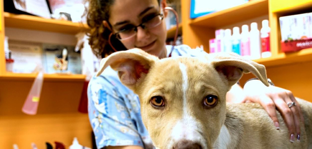 WONDER WOMEN: Vol. 1 с д-р Елза Харизанова