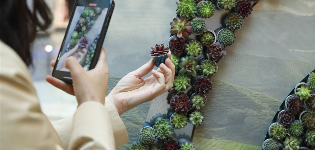 Просто не пропускайте арт инсталацията #DoingIsEverything