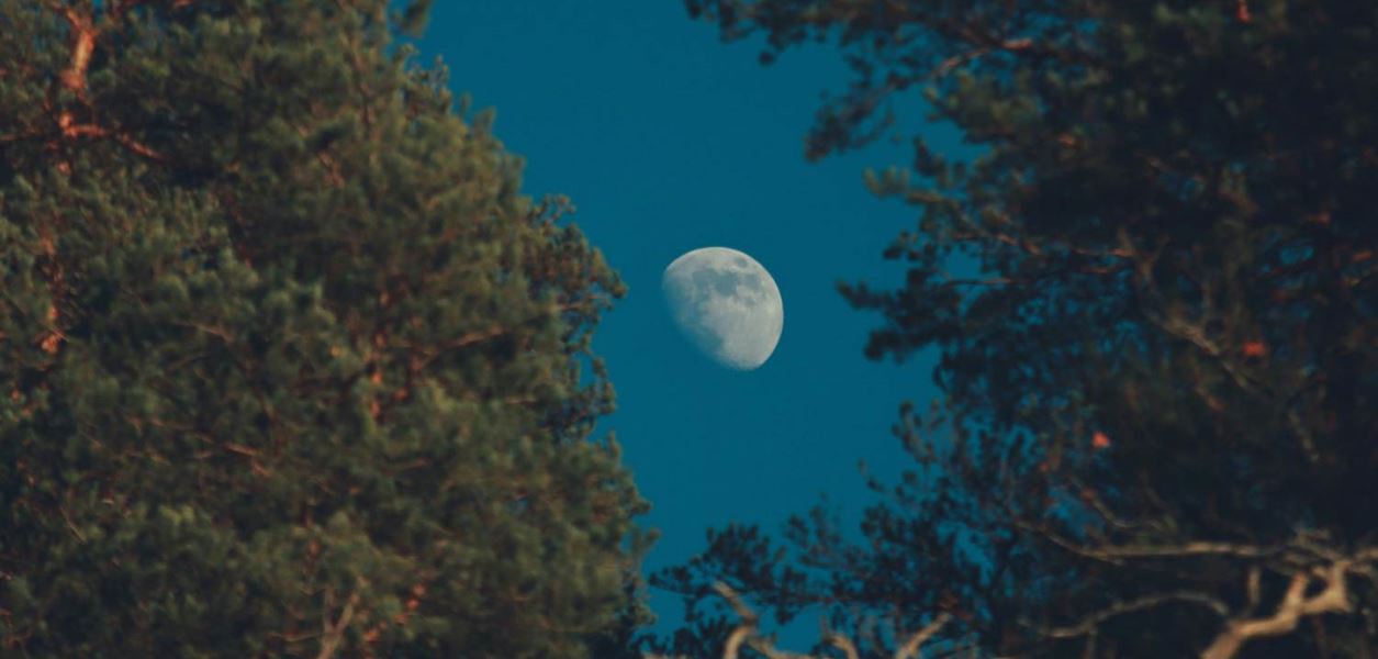 Първата суперлуна за 2025 идва с мощно астрологично послание за всички зодии