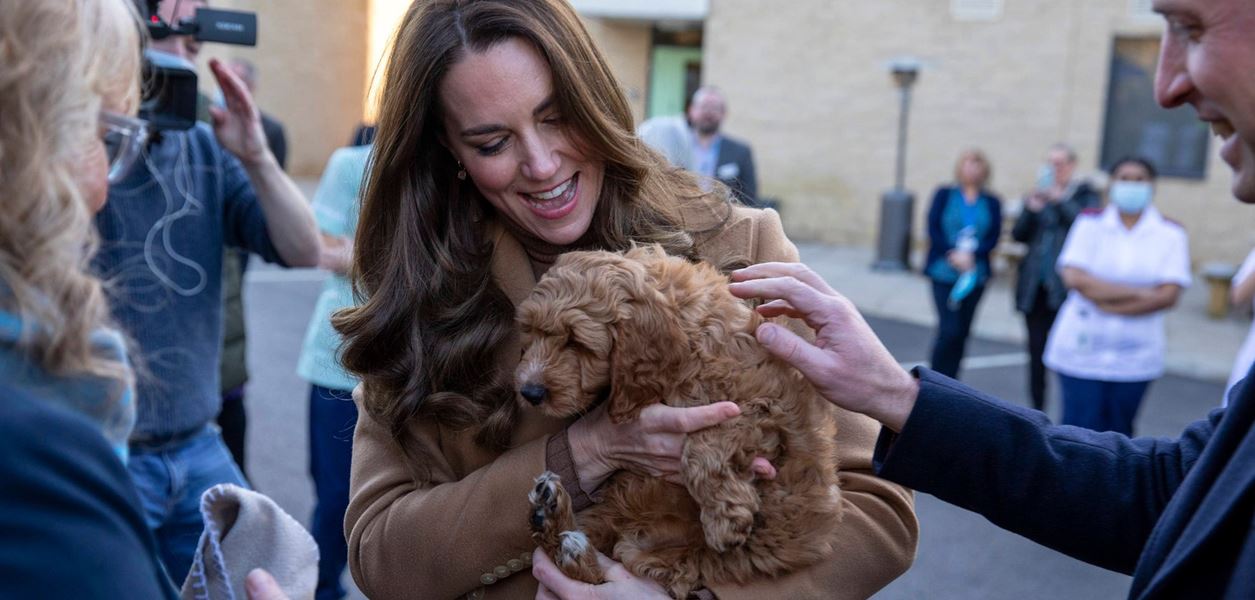 Джеймс, Пипа и Кейт Мидълтън са посещавали терапия