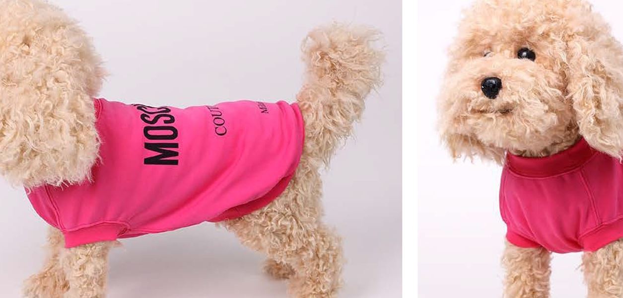Moschino пуска дизайнерска колекция за домашни любимци