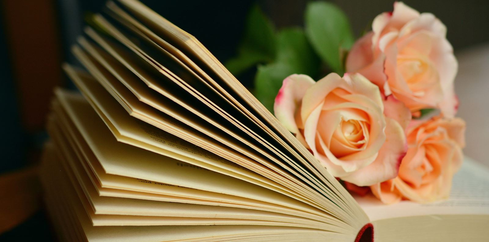 Книгите, в които се влюбихме през март