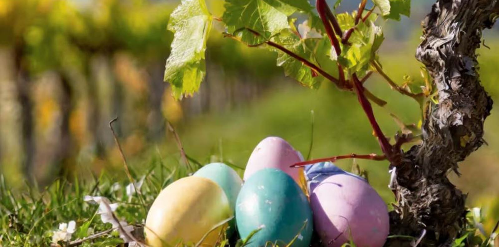 Семеен Великден сред лозята на Chateau Copsa