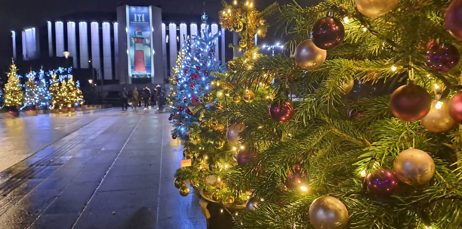 Деца подкрепят деца в тазгодишната кампания &quot;Елхи на таланта&quot;