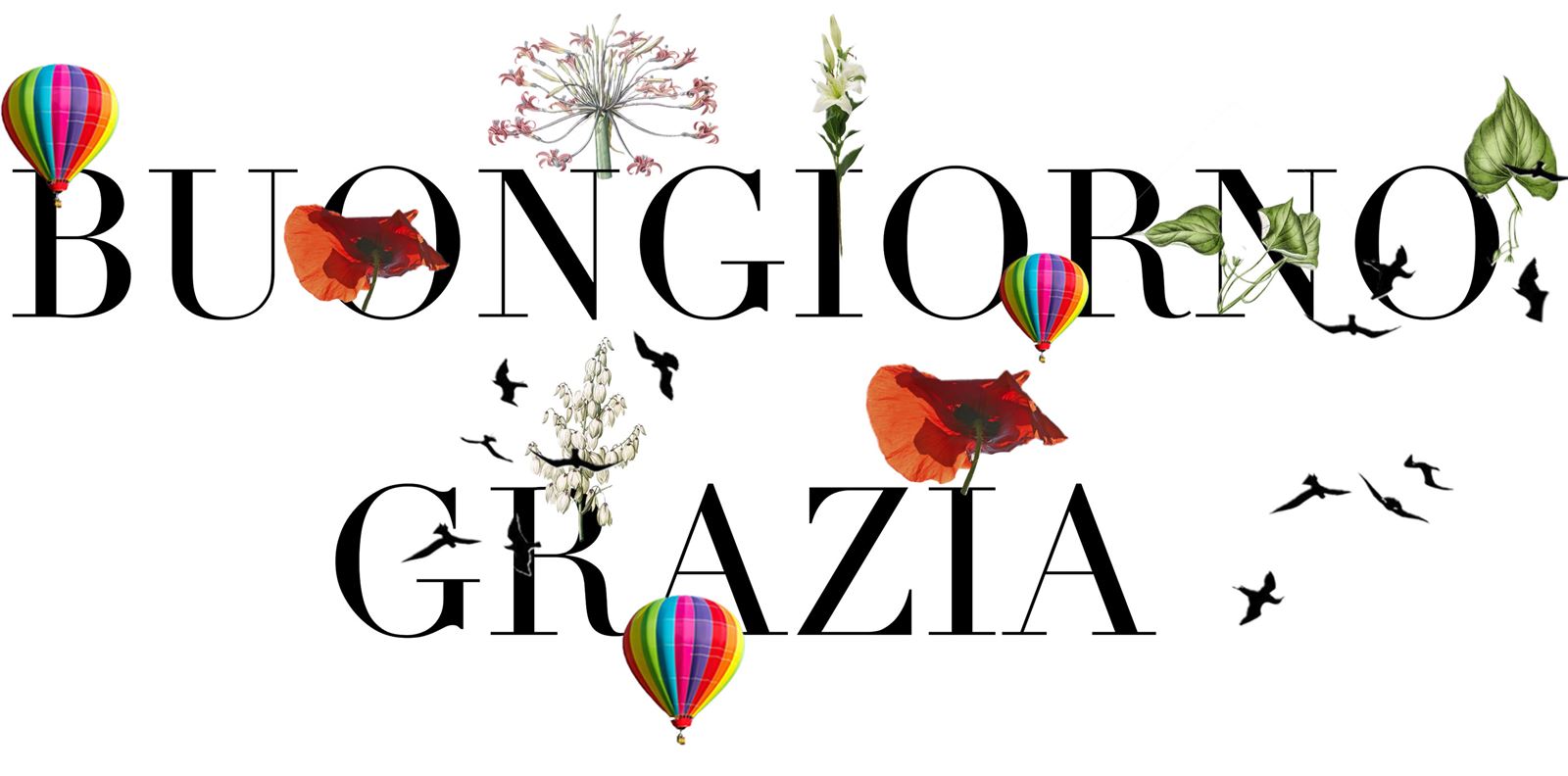 Buongiorno GRAZIA, на страната на свободата