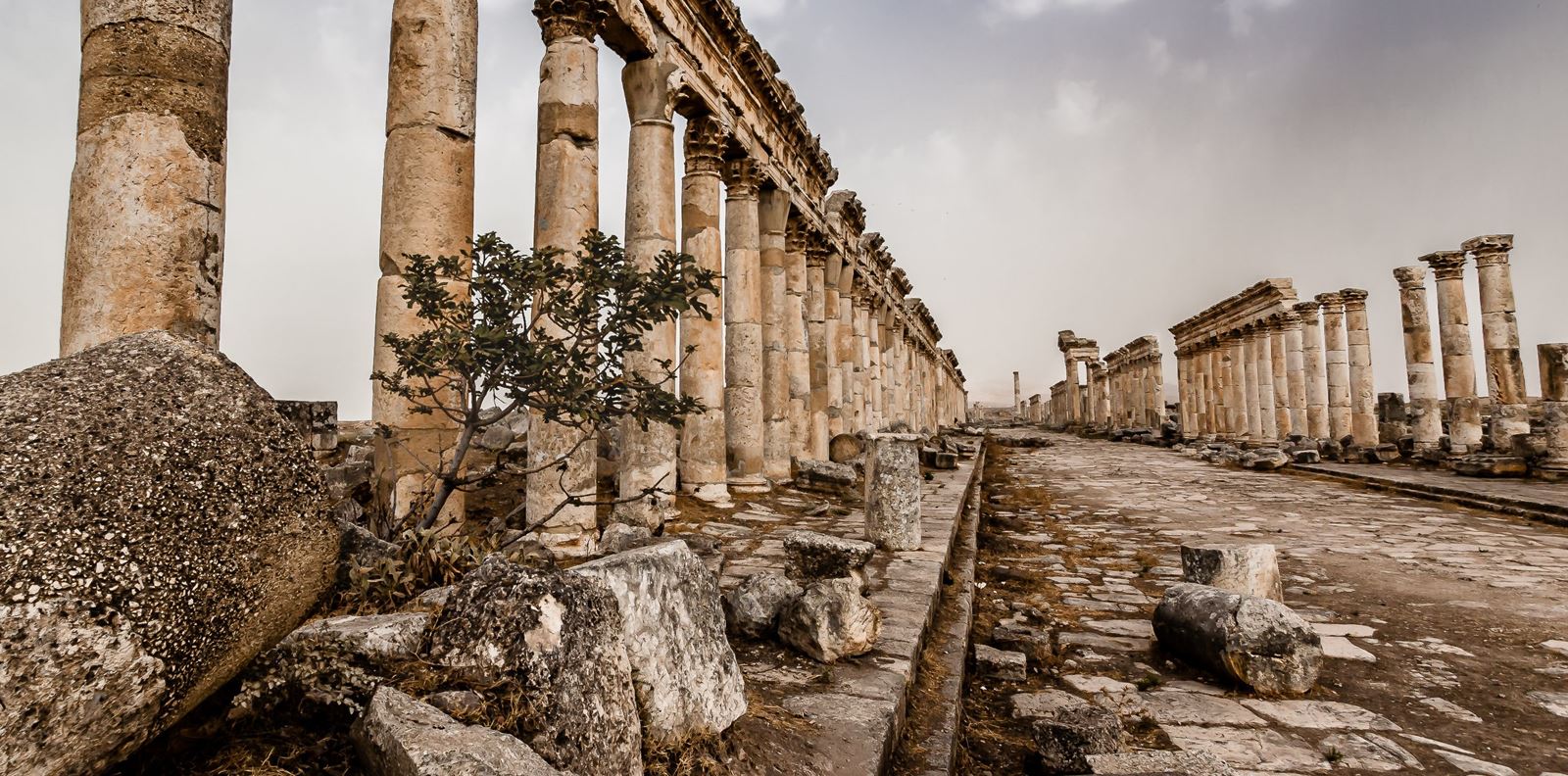Вижте най-зашеметяващите фотографии тази година (ГАЛЕРИЯ)