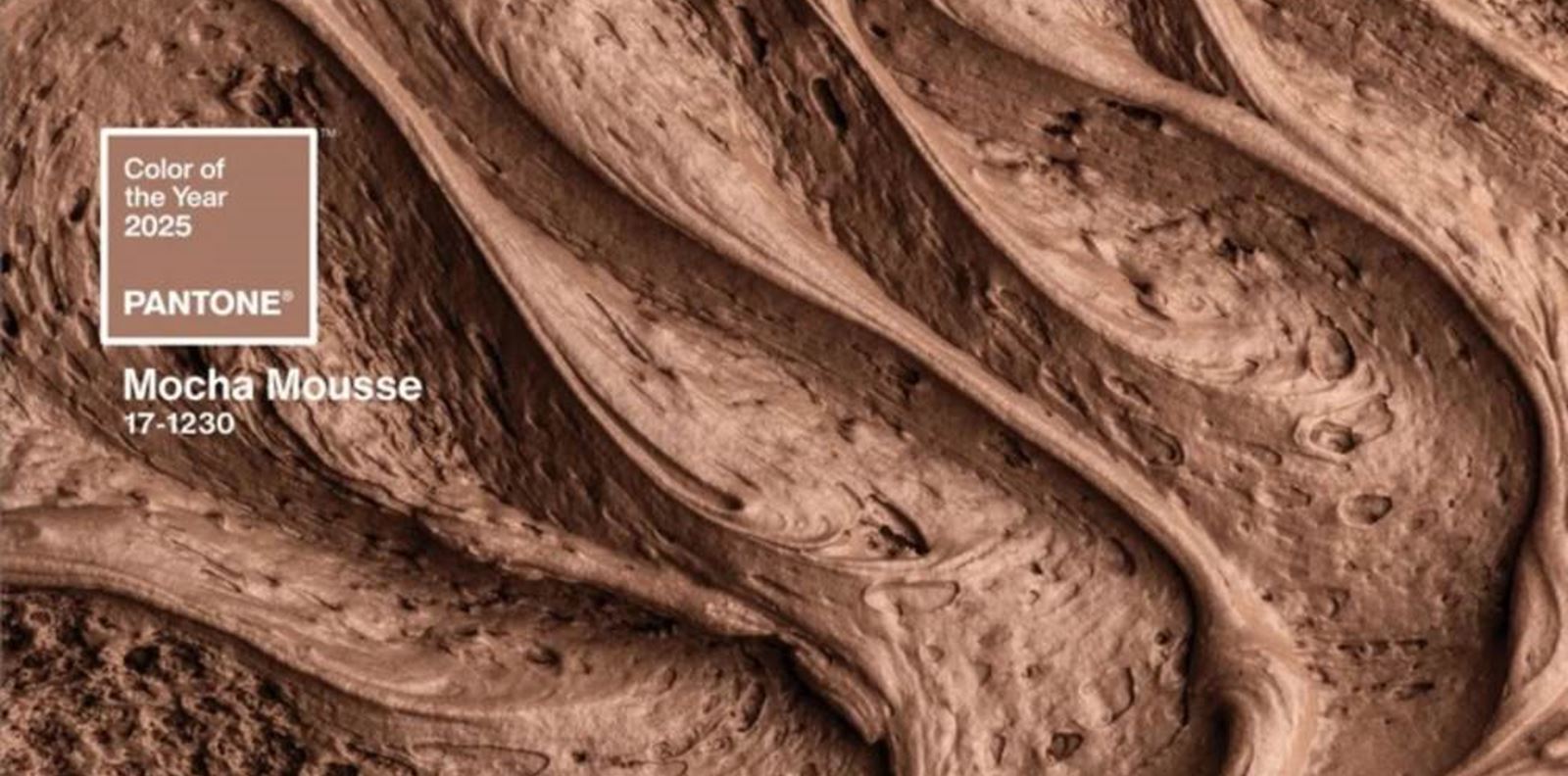 Mocha Mousse е цветът на 2025 г.