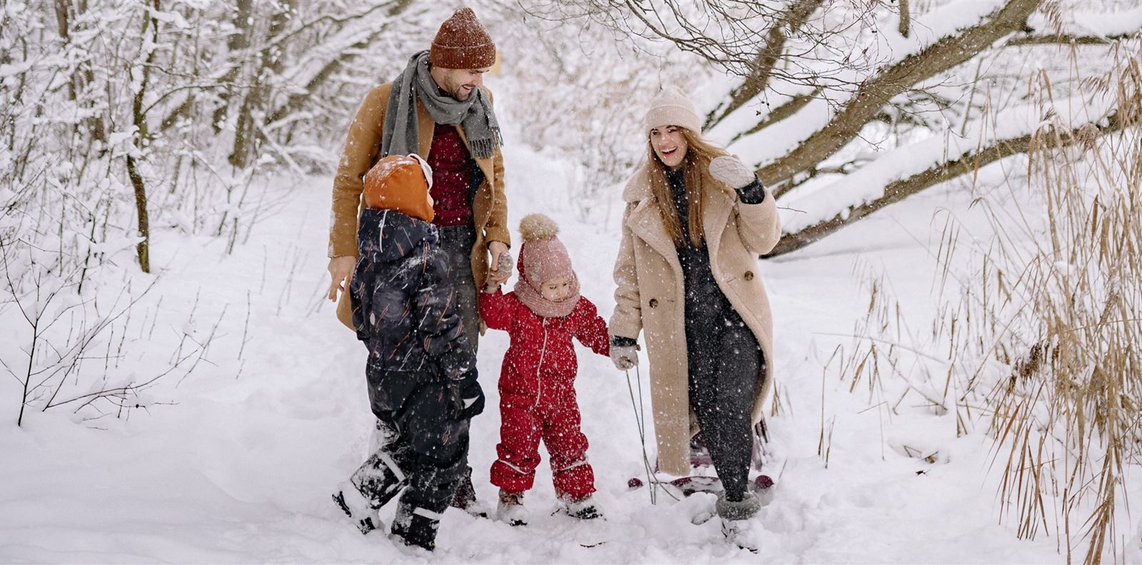 GRAZIA Mama отново е на пазара!
