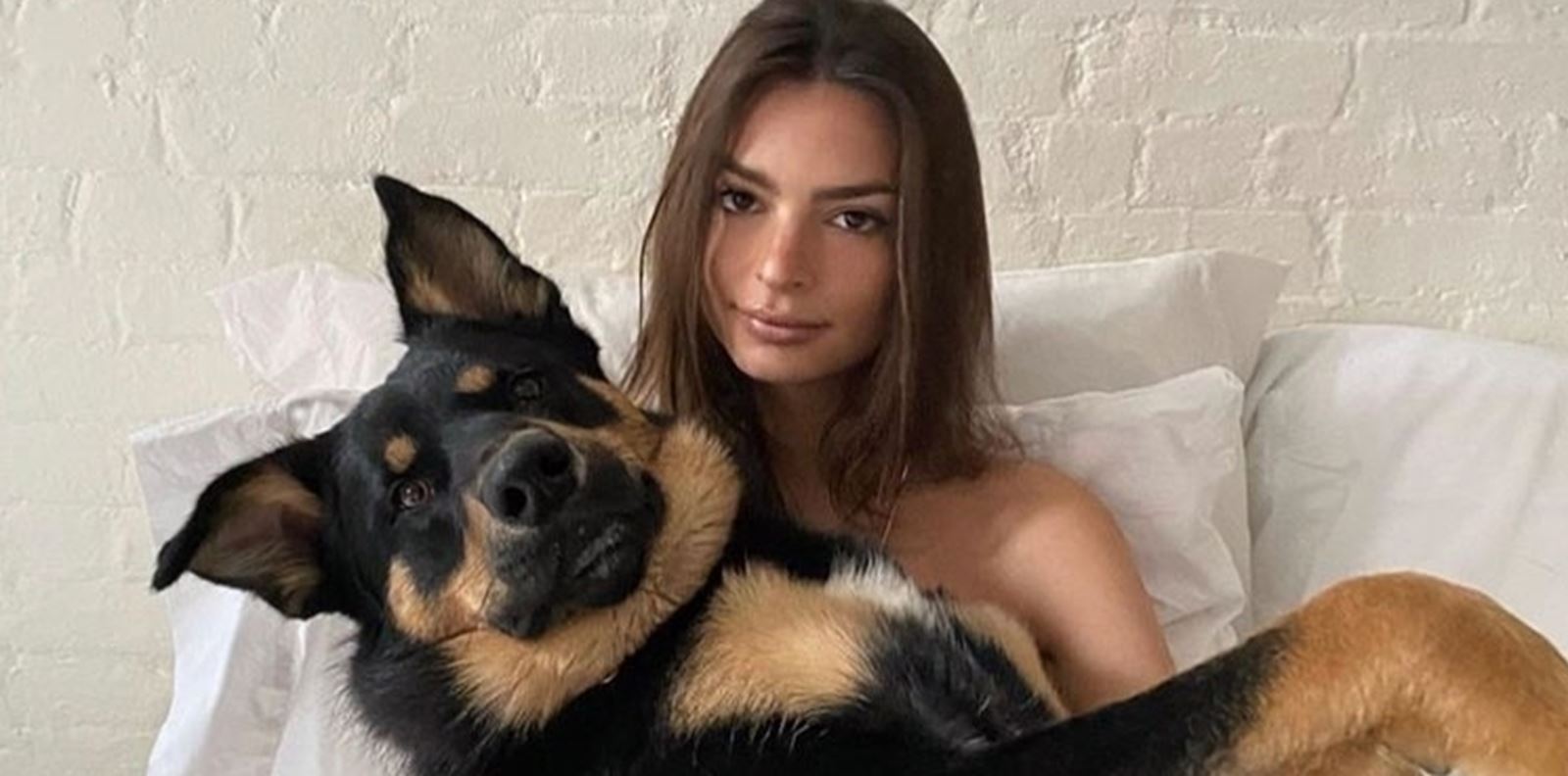 Световeн ден на кучето! Вижте 30 звезди и техните любимци