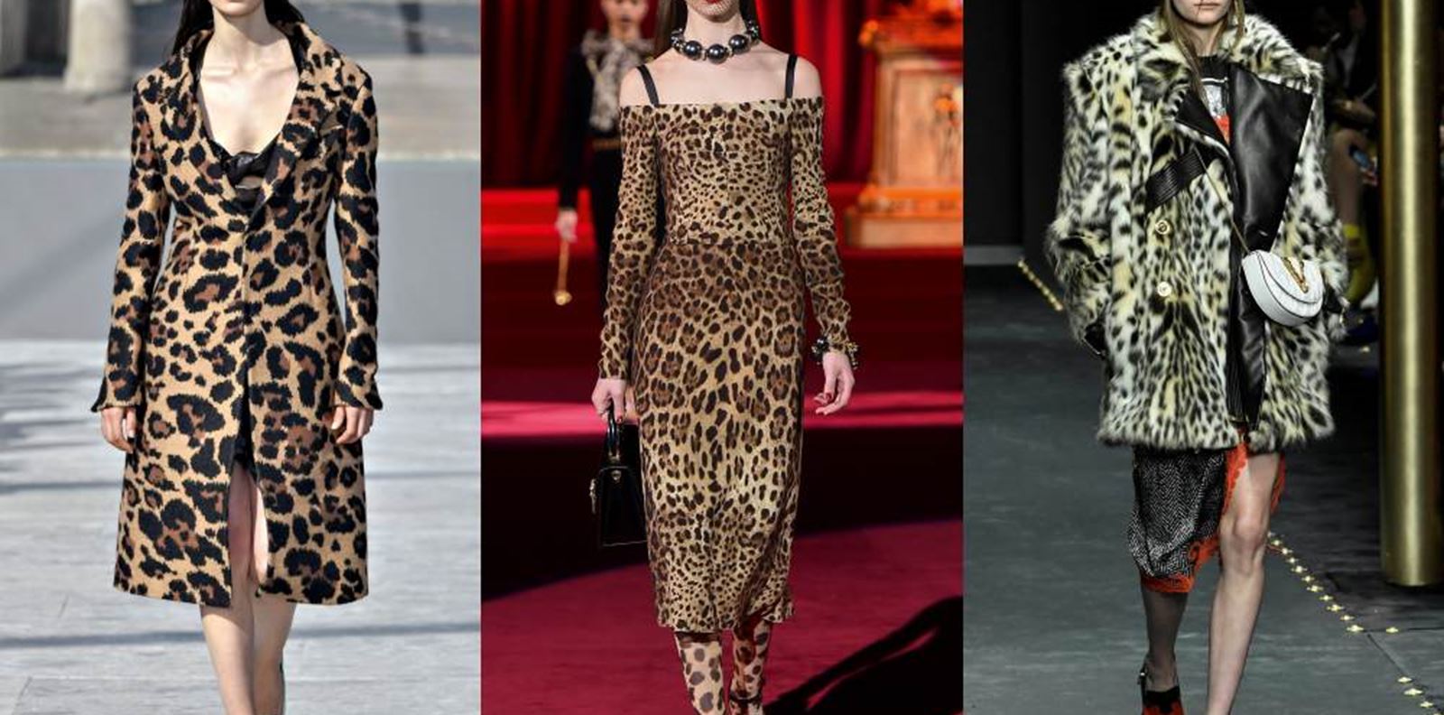 Да защитим ли леопардовия принт?