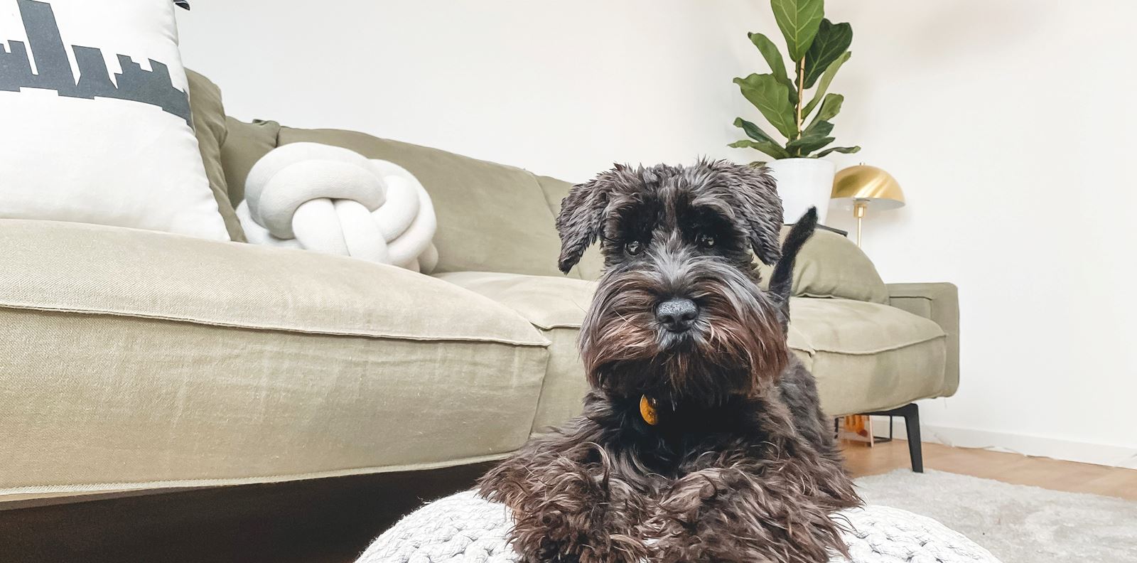 Домът през 2021-ва: Горещите интериорни тенденции