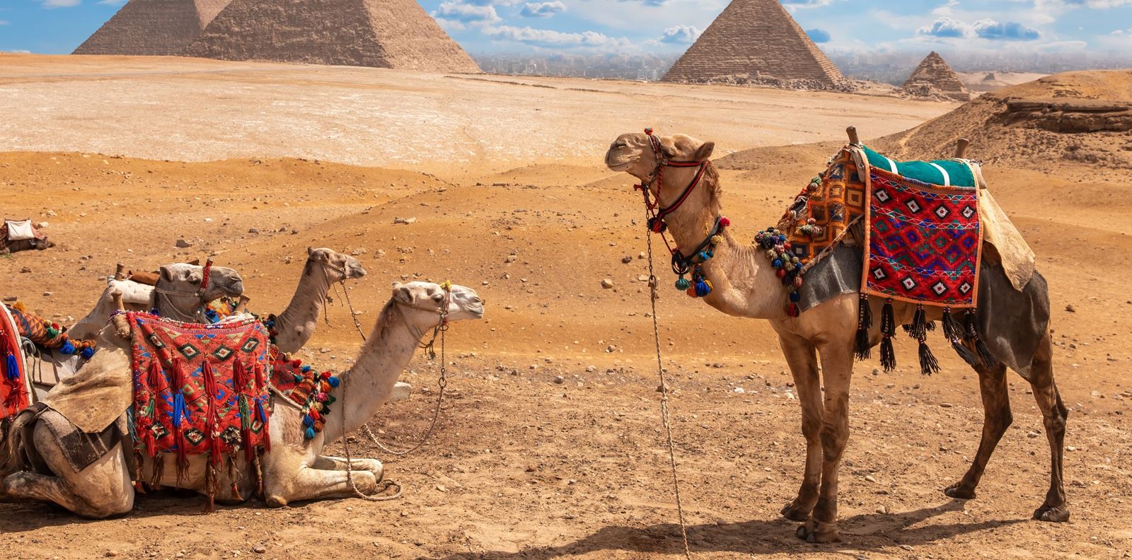 GRAZIA Travel гайд: Египет на въпросите