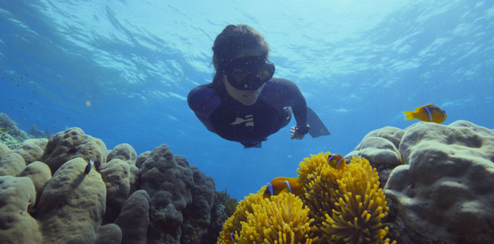 &quot;Под повърхността: Спасяването на коралите&quot; и необикновеното пътешествие на Салма Шaкeр