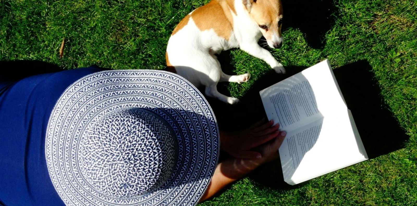 9 книги, които попадат в списъка ни този месец