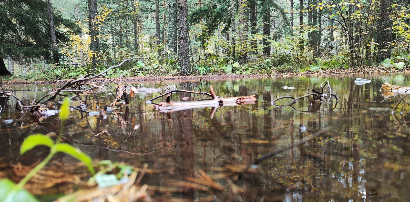 Да уловиш есента по най-красивия начин!