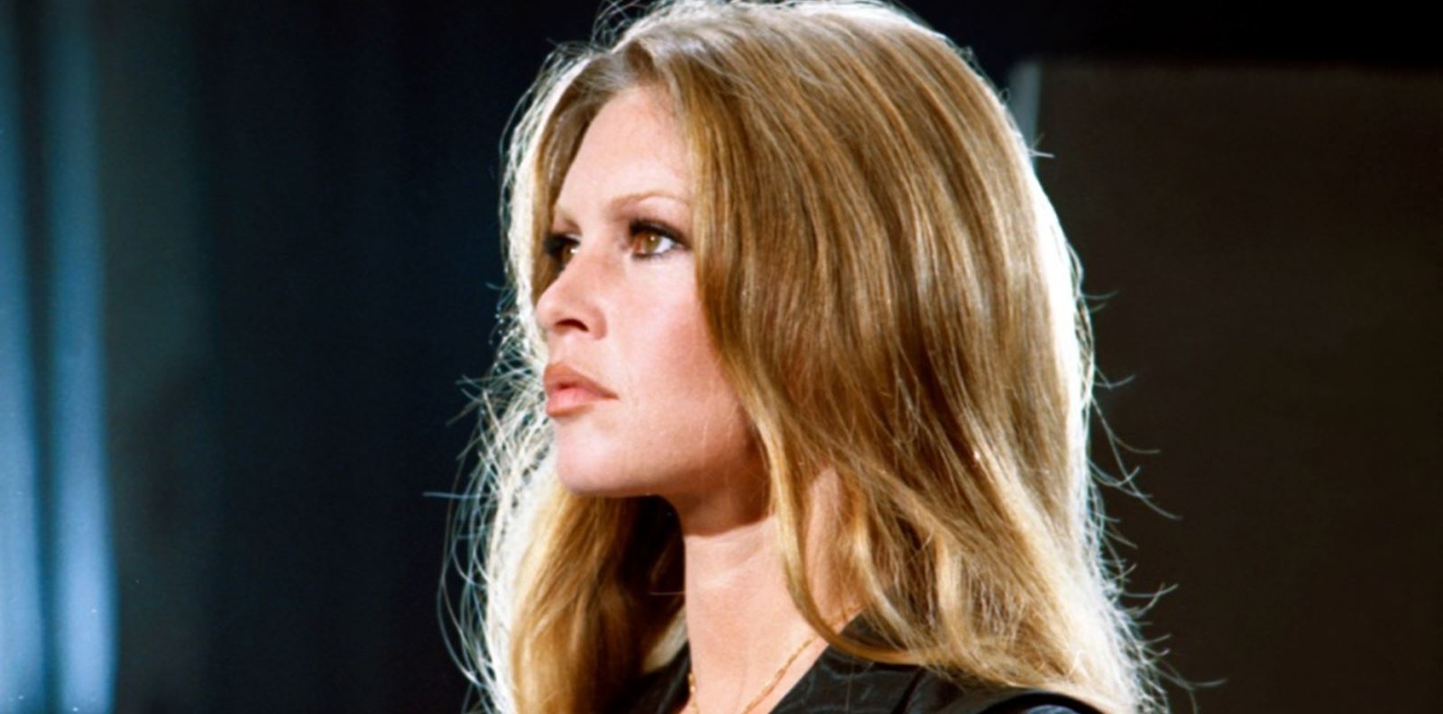 Бриджит Бардо - една легенда на 89