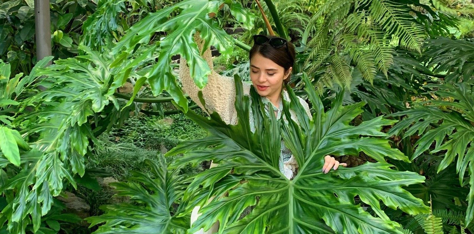 Зелената светлина на Диана Трайкова