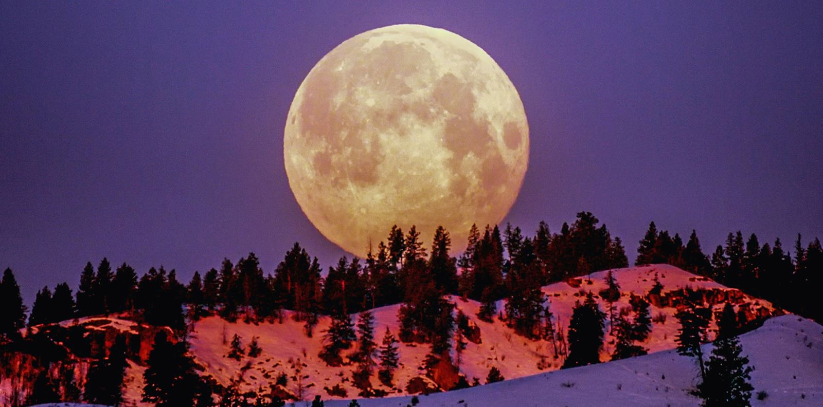 Първото пълнолуние за годината: кои са късметлийските зодии?