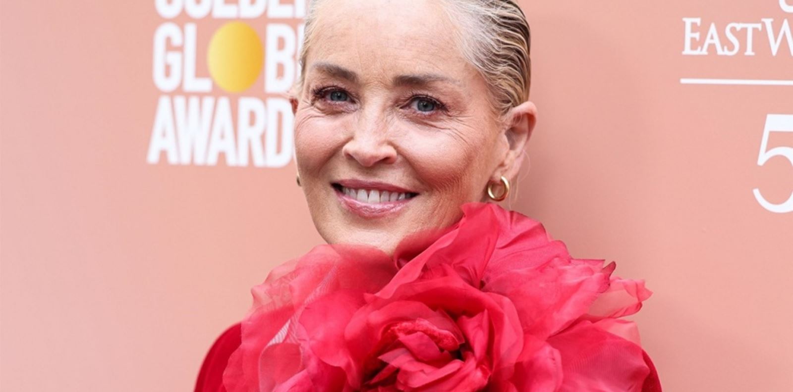 Защо Холивуд забравя за Шарън Стоун?