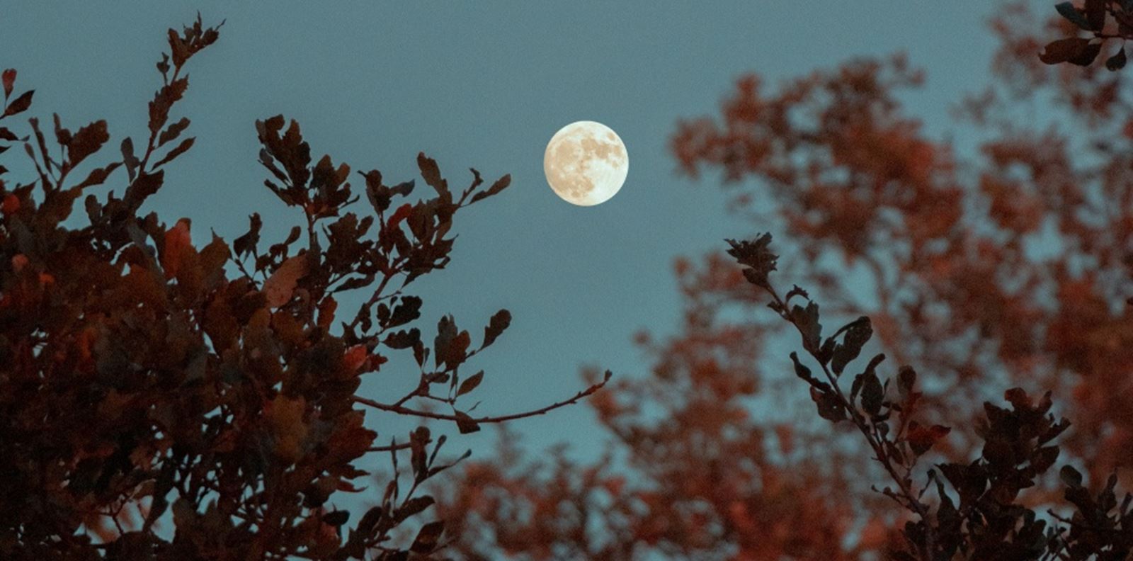 Пълнолунието в Овен е момент за равносметка