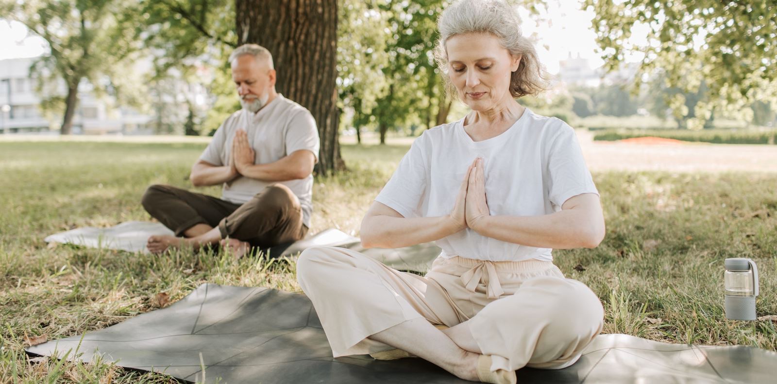 Какво ускорява процеса на стареене в организма?