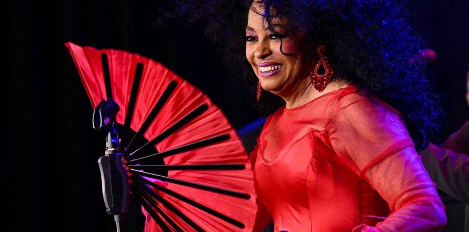 Даяна Рос е звездата в последната кампания на Saint Laurent