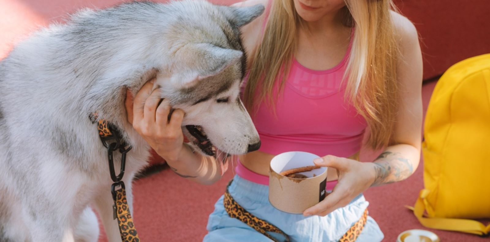 Какъв домашен любимец да изберем според зодията си