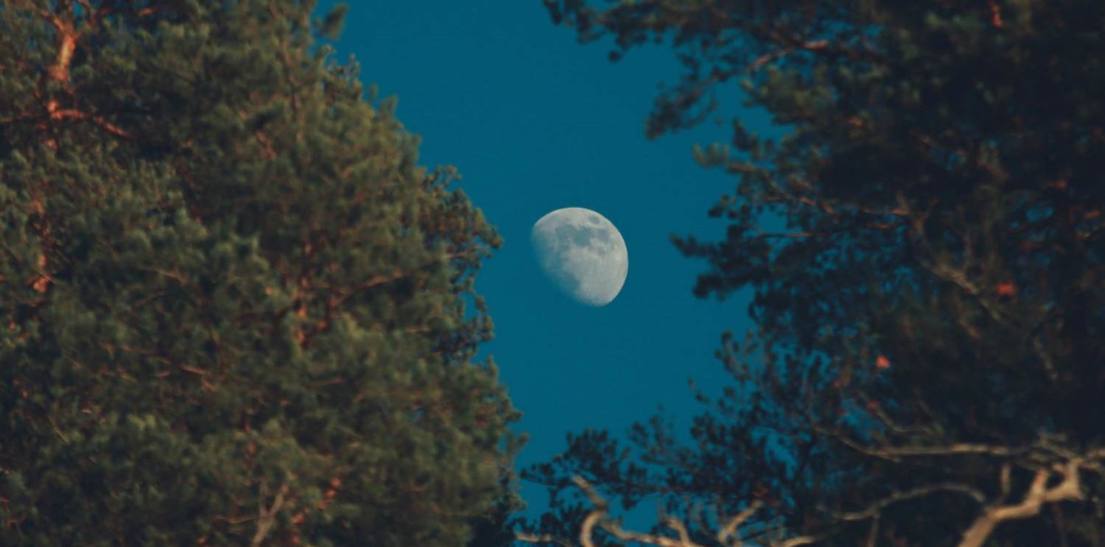 Първата суперлуна за 2025 идва с мощно астрологично послание за всички зодии