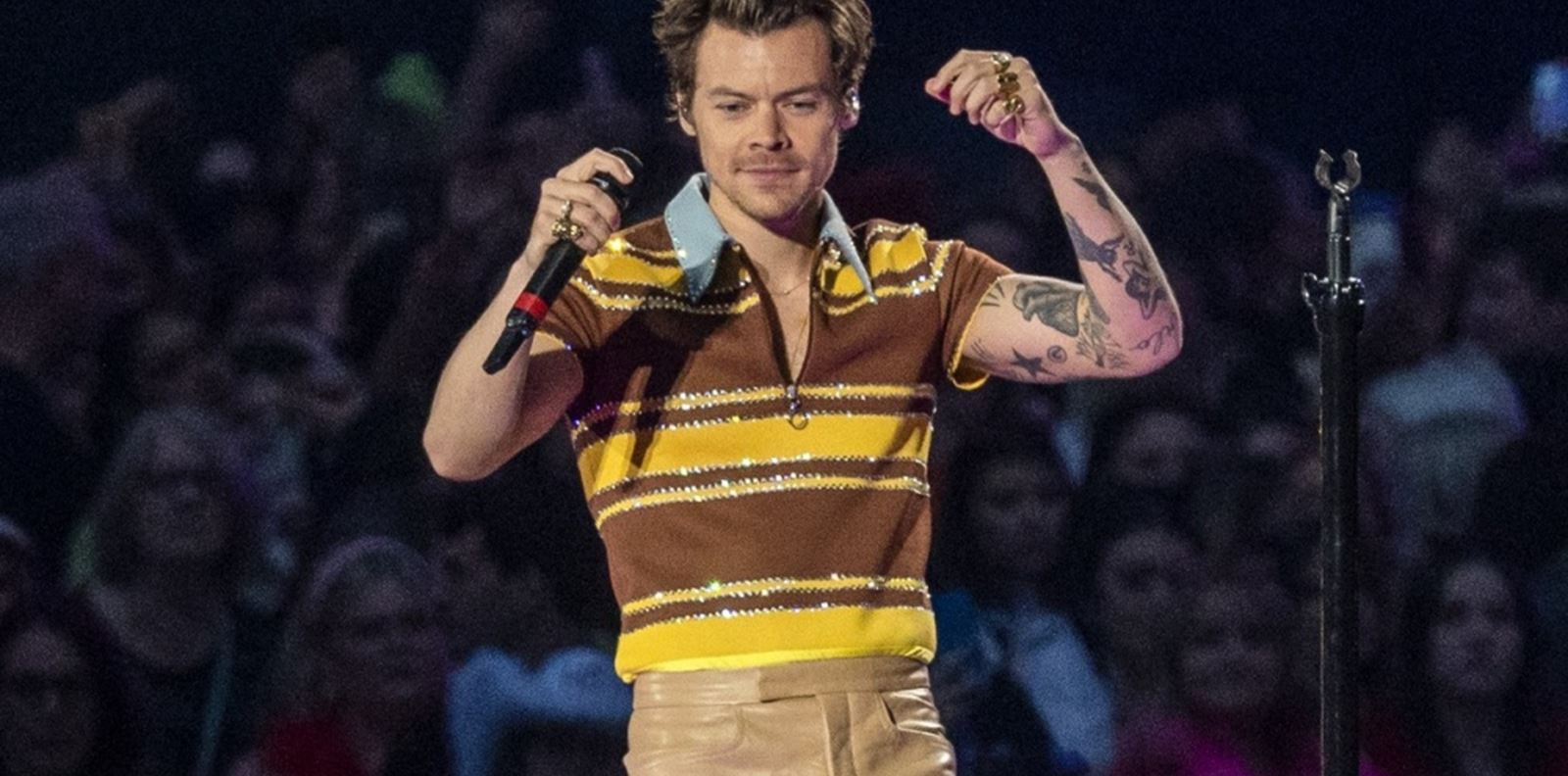 Хари Стайлс спря концерт заради бременна фенка