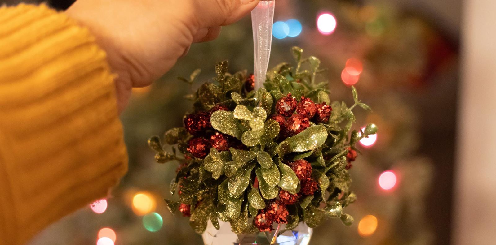 Нежелани гости на Коледа