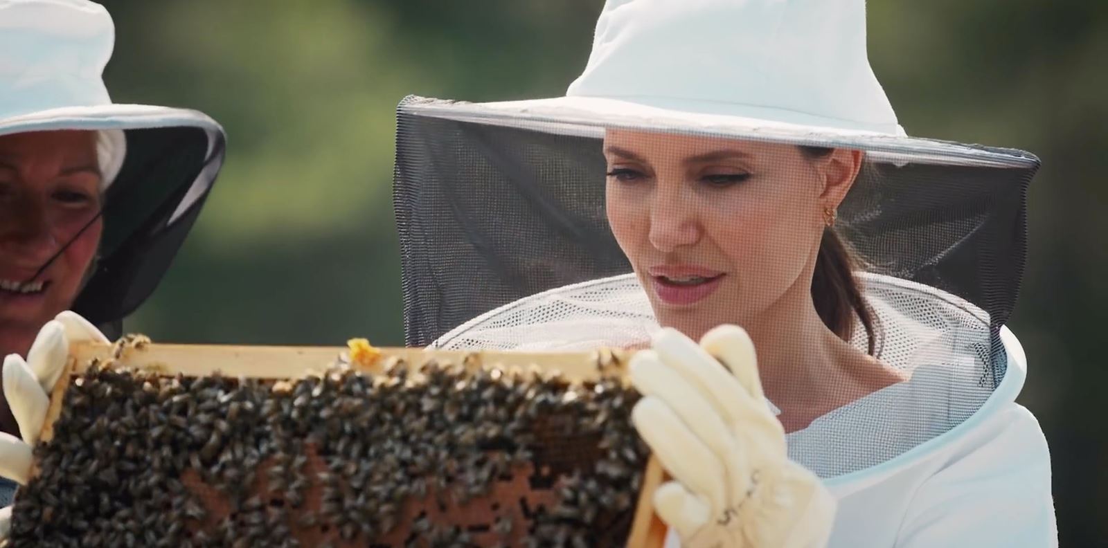 Анджелина Джоли може да се занимава с пчеларство