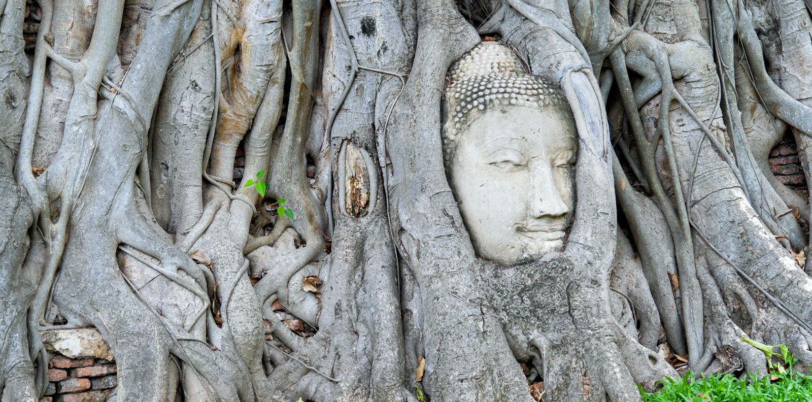 Елена Крапчева заседна в Рая и сега ще ни покани в него