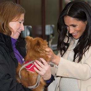 Меган Маркъл в помощ на бездомните животни