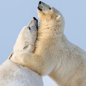 14 очарователни кадъра за Международния ден на прегръдката