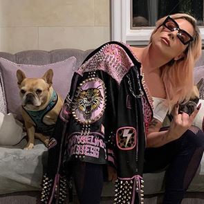 &lt;em>Лейди&lt;/em> &lt;em>Гага&lt;/em> дава 500 хиляди долара за кучетата си