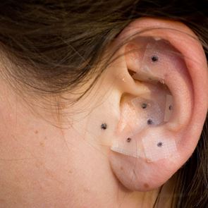 Какво представляват „семената&quot; за уши и за какво помагат